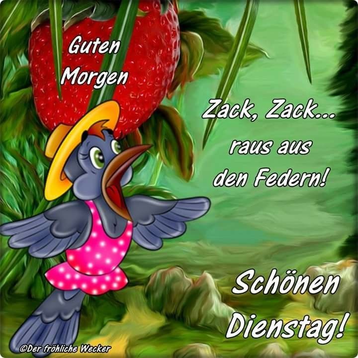 Guten morgen dienstag gif bilder