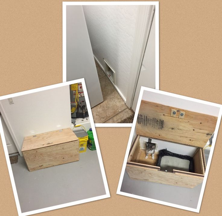 Best Room Deodorizer For Litter Box Best Room Deodorizer For Litter Box