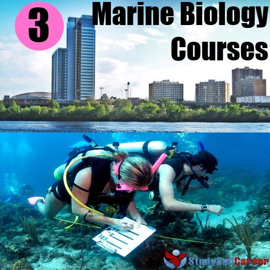 Marine biology homework help