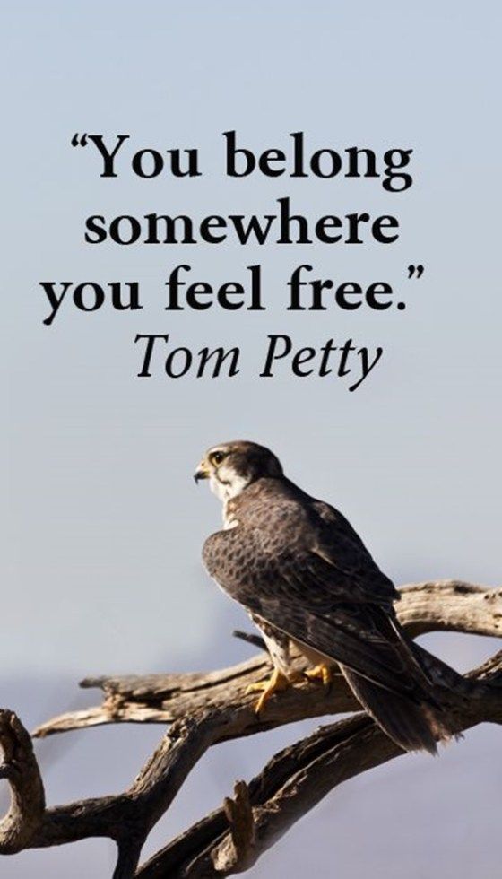 motivational quotes for athletes 93 Spring Quotes You’re Going To Love Immediately 6 motivational quotes for athletes 93 Spring Quotes You’re Going To Love Immediately 6