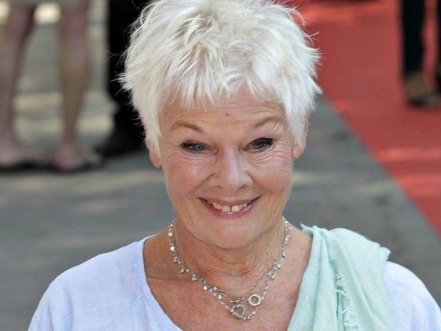 Dame Vollbusige Dunkelhaarig Doppelter