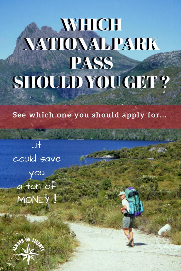 What City Is Grand Teton National Park In What To See And Do In Yellowstone National Park