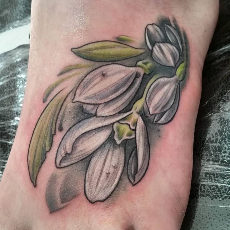 35 best snowdrops images on pinterest beautiful art journals 35 best snowdrops images on pinterest beautiful art journals