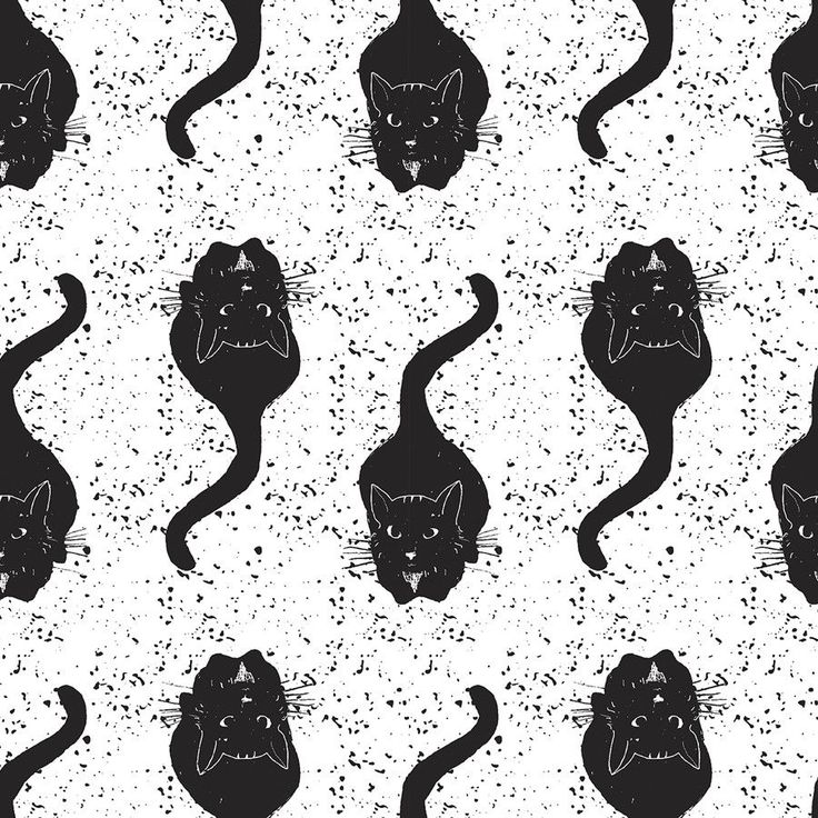 Wallpaper Cat Black And White Wallpaper Cat Black And White