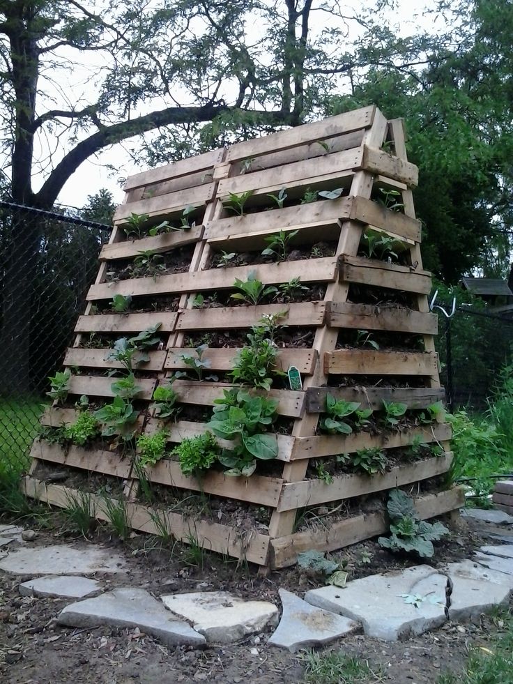 Using Logs For Raised Beds And Termites Using Logs For Raised Beds And Termites