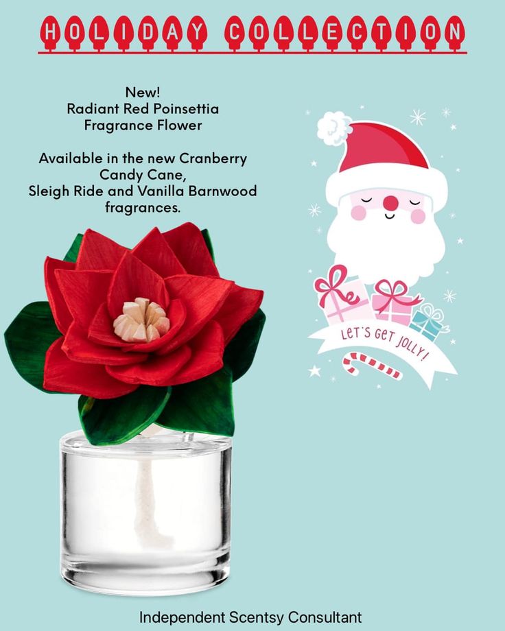 Radiant Red Poinsettia Scentsy Fragrance Flower In 2023 Scentsy radiant-red-poinsettia-scentsy-fragrance-flower-in-2023-scentsy