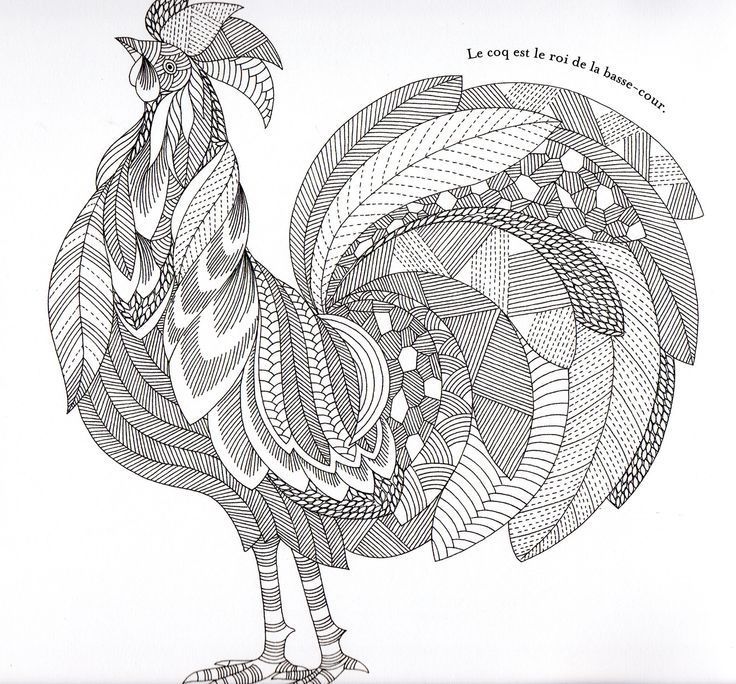 Pin on coloring pages Pin on coloring pages