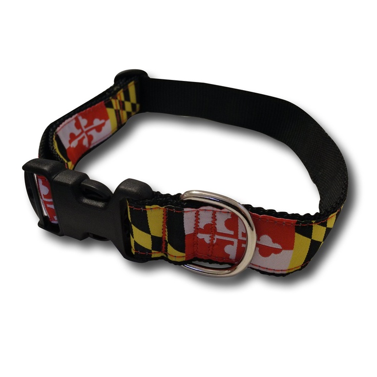 Maryland canine