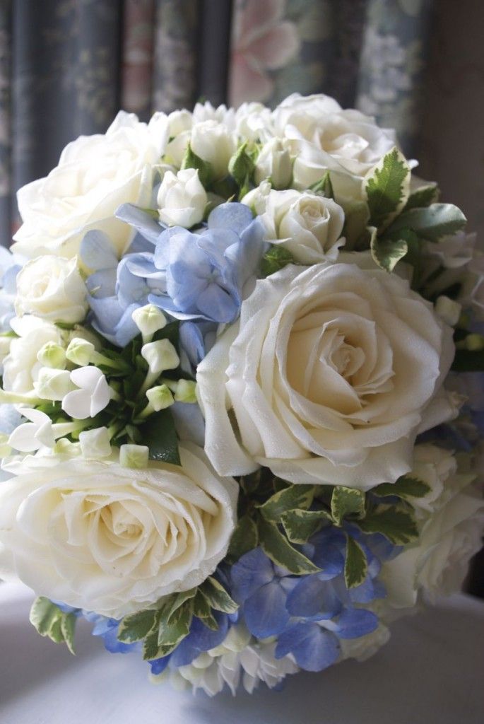 Garden Rose And Hydrangea Bouquet best 20+ hydrangea wedding bouquets ideas on pinterest | hydrangea Garden Rose And Hydrangea Bouquet best 20+ hydrangea wedding bouquets ideas on pinterest | hydrangea