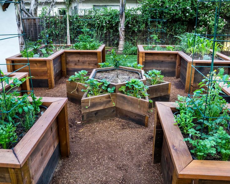 raised garden beds are easy on your back and will give your plants good drainage and generally better soil quality by building this u shaped garden bed