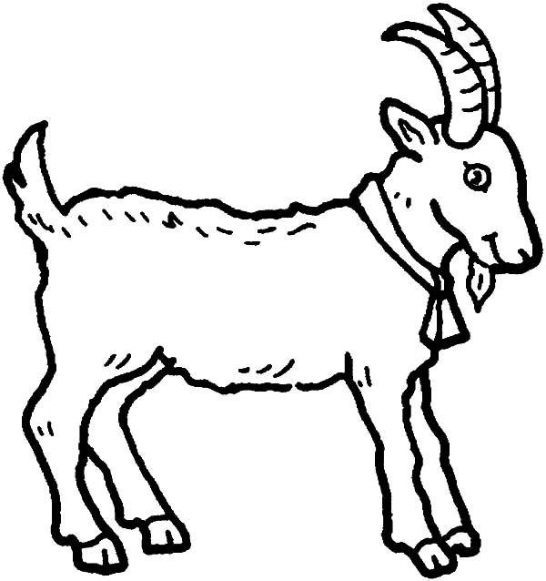 37 Goat Coloring Pages Ideas | Coloring Pages, Coloring Pictures, Goats