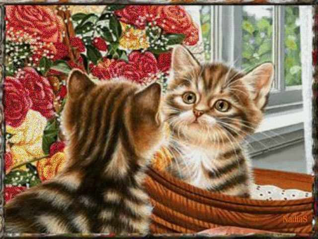 Открытка с кошками анимашки