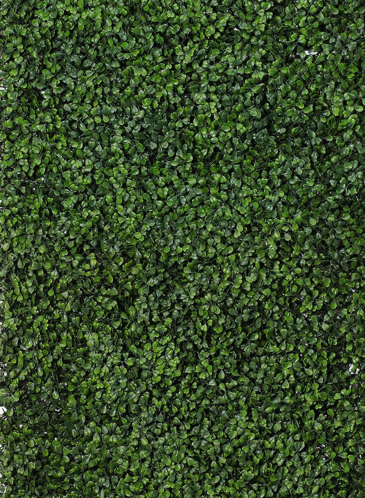 20 x 20in Boxwood Mat | Ceremony backdrop diy, Green backdrops, Wedding