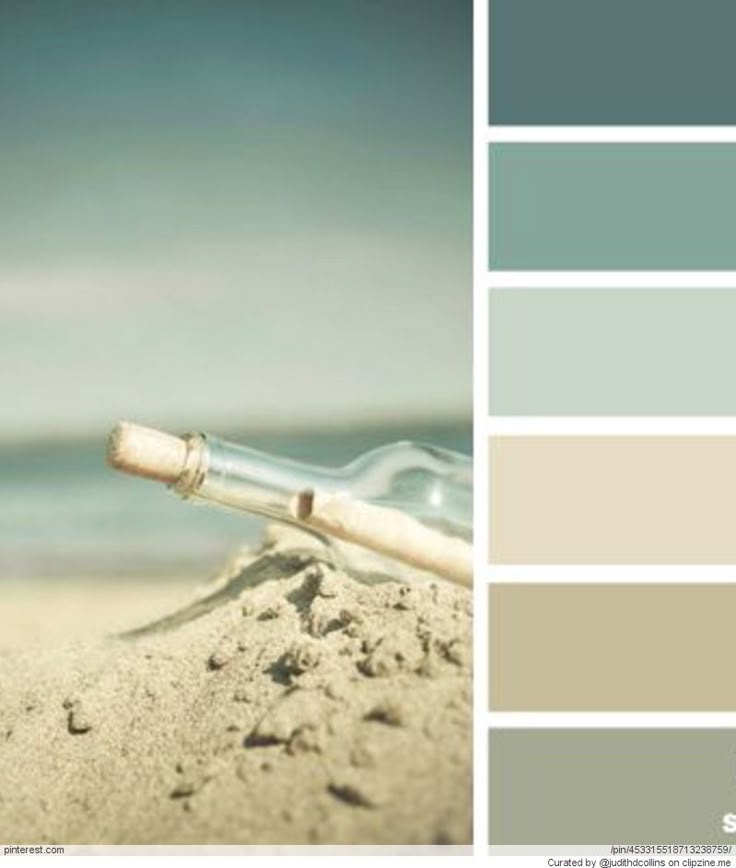 best 25+ house color palettes ideas only on pinterest | coastal best 25+ house color palettes ideas only on pinterest | coastal