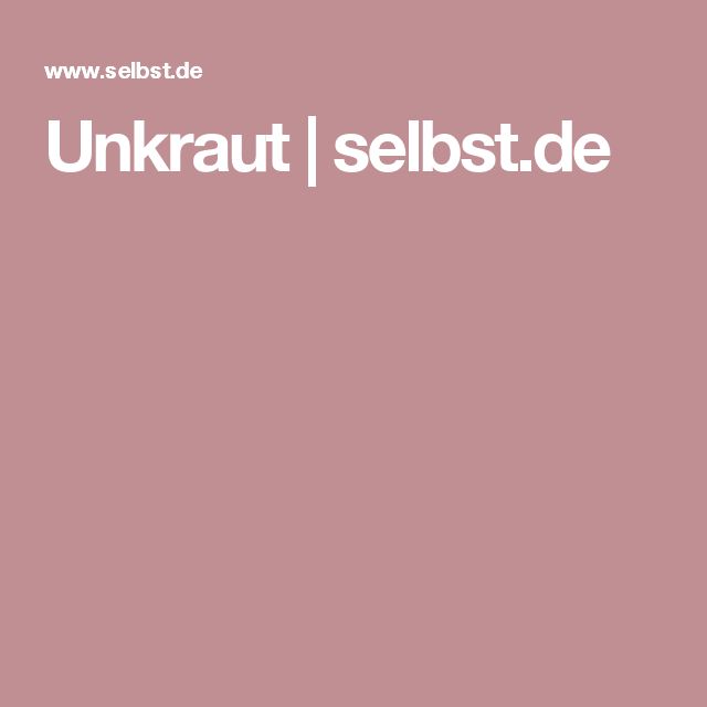 Die besten 25+ Unkraut entfernen Ideen auf Pinterest - unkraut im rasen Die besten 25+ Unkraut entfernen Ideen auf Pinterest - unkraut im rasen