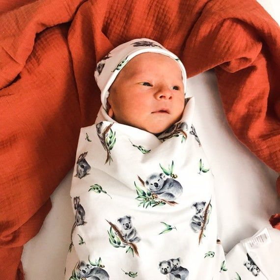 koala baby wrap