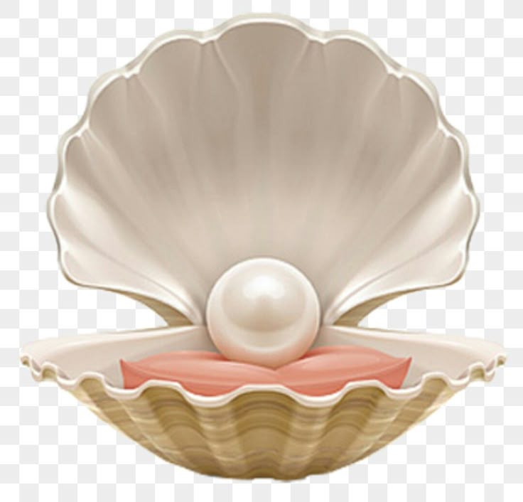Pearl June Birthday S Happy Birthday おしゃれまとめの人気アイデア Pinterest Sarai Faz 貝殻 イラスト 食べ物 イラスト 夏 デザイン Pearl June Birthday S Happy Birthday おしゃれまとめの人気アイデア Pinterest Sarai Faz 貝殻 イラスト 食べ物 イラスト 夏 デザイン