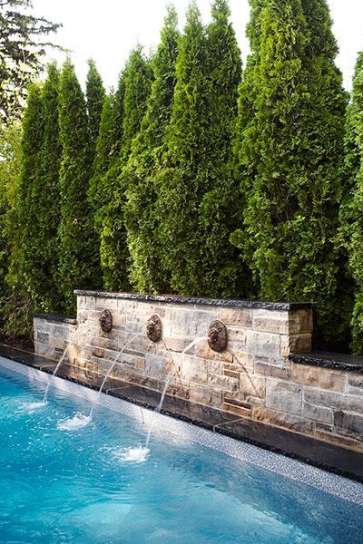 Pool Privacy Fence 95 best pool privacy ideas images on pinterest | pool ideas Pool Privacy Fence 95 best pool privacy ideas images on pinterest | pool ideas
