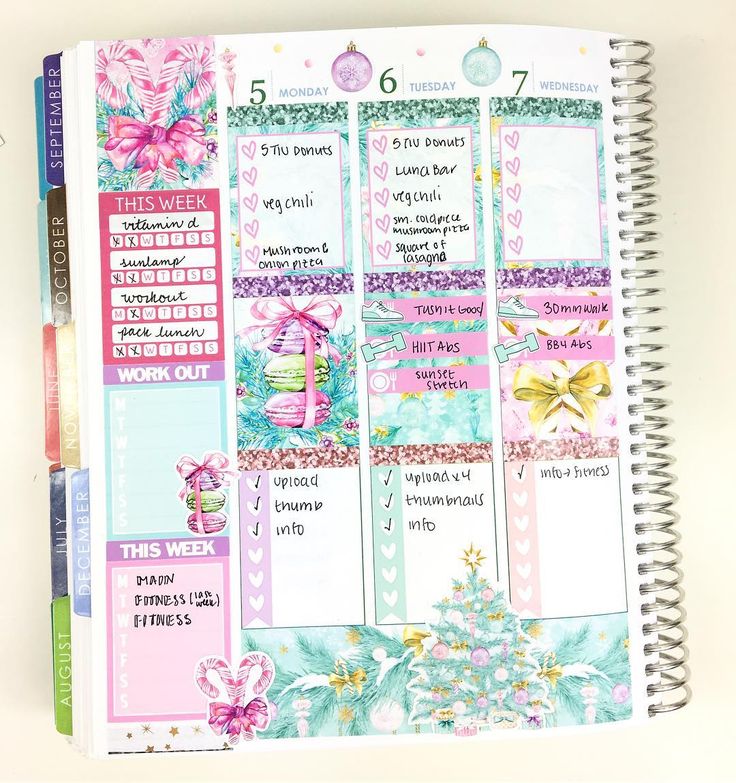 fitness planner book - Tomadaretodonate