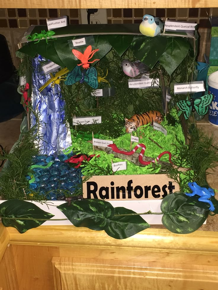 30 best Shoebox Dioramas images on Pinterest | Rainforest project ...