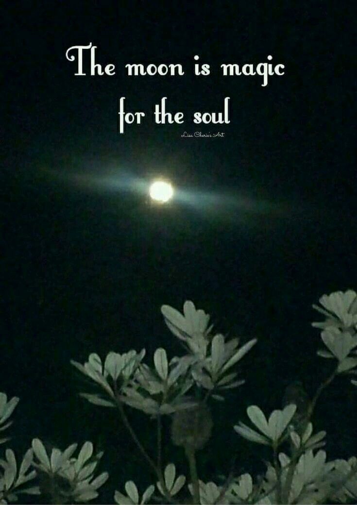Pin by Chuck Fensel on Lunar Love | Moon quotes, Full moon quotes, Quotes