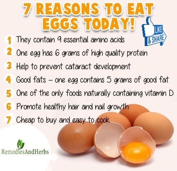 If You Eat Eggs Everyday, This Is What Happens To Your Body Health