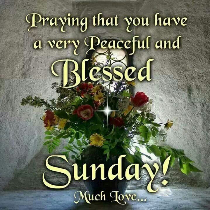 Have A Blessed Sunday And A Peaceful One May You And Your Family Adorable Powerful Sunday Msg For Him Have A Blessed Sunday And A Peaceful One May You And Your Family Adorable Powerful Sunday Msg For Him