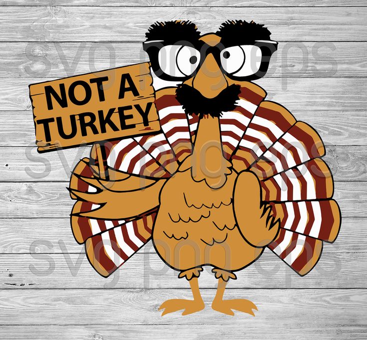 Download Turkey Svg, Not A Turkey Svg Files, Thanksgiving Svg Files Files For Cricut, SVG, DXF, EPS, PNG ...
