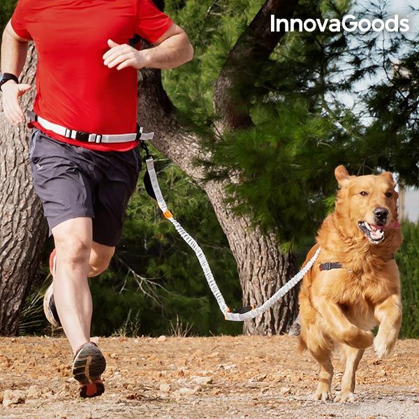 Guinzaglio per cani a mani libere,Guinzaglio da jogging,Guinzaglio per Cane,Guinzaglio per Cani con Ammortizzatore,con cuciture riflettentiper Bicicletta,Jogging,Cani Walking Training
