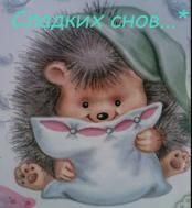 Спокойной ночи, сладких снов!
