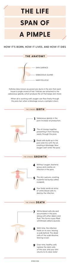 567 best Esthetician images on Pinterest Beauty secrets, Beauty - actor release forms 567 best Esthetician images on Pinterest Beauty secrets, Beauty - actor release forms