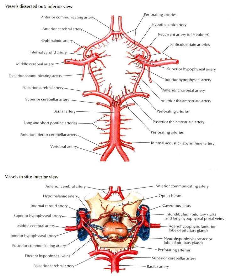 download Political theories of