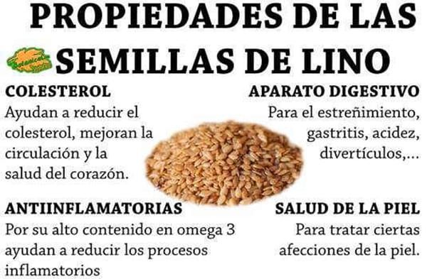 Semillas de lino beneficios para la salud