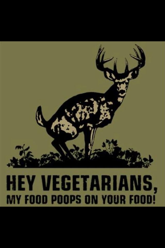 Funny Hunting Quotes Classy The 25 Best Hunting Humor Ideas On Pinterest Funny Hunting Funny Hunting Quotes Alluring The 25 Best Hunting Humor Ideas On Pinterest Funny Hunting