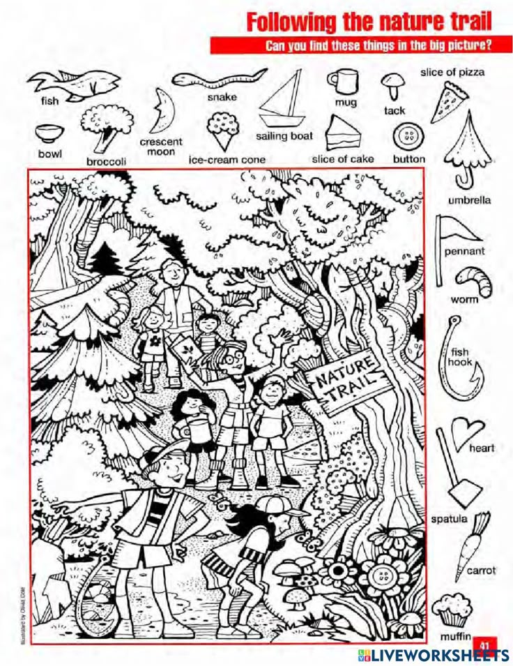 Trail activity in 2023 | Find the hidden objects, Hidden pictures