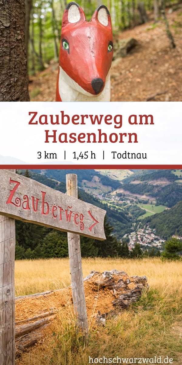 Single mit kind reisen schwarzwald