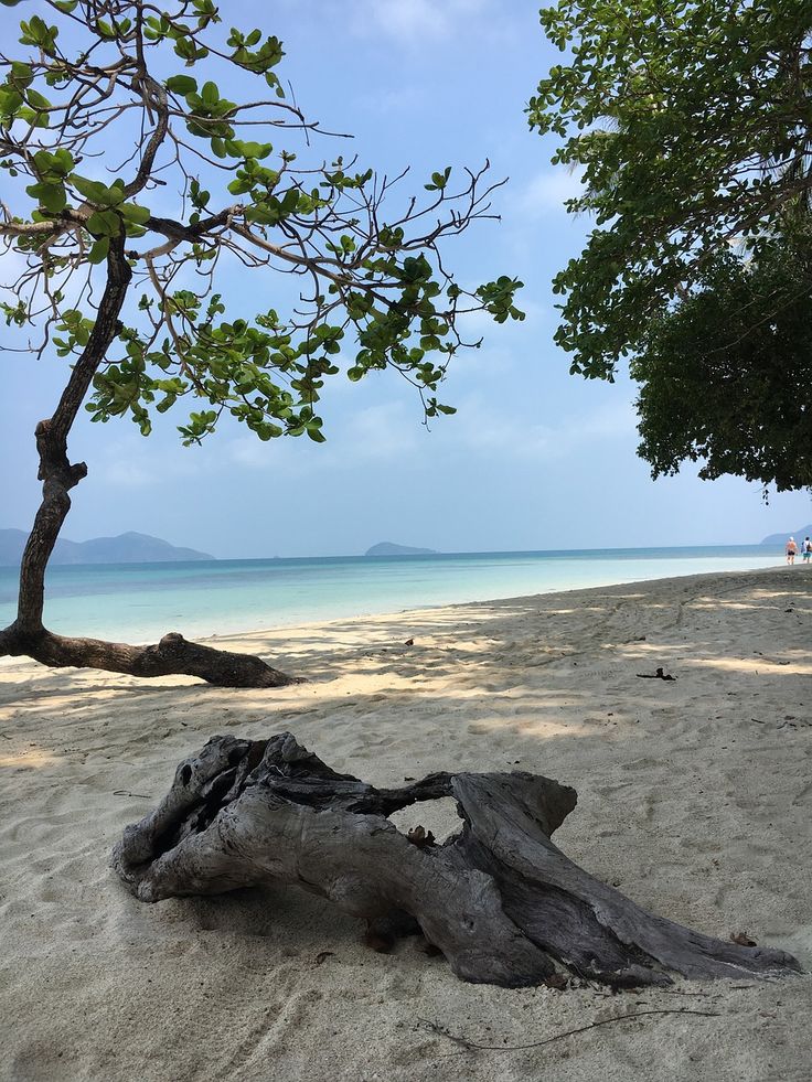 Asian sea receded shoreline