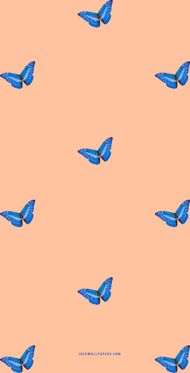 things to draw Blue butterfly wallpaper Butterfly wallpaper things to draw Blue butterfly wallpaper Butterfly wallpaper