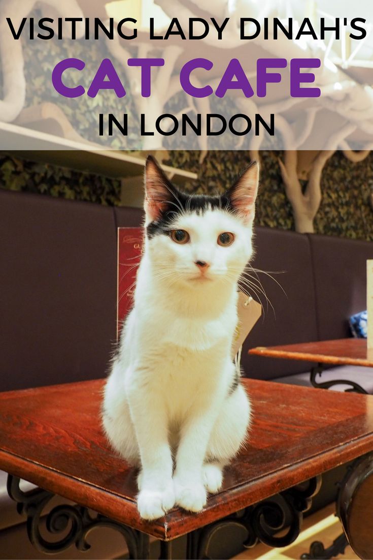 194 best Eat London images on Pinterest Destinations 194 best Eat London images on Pinterest Destinations