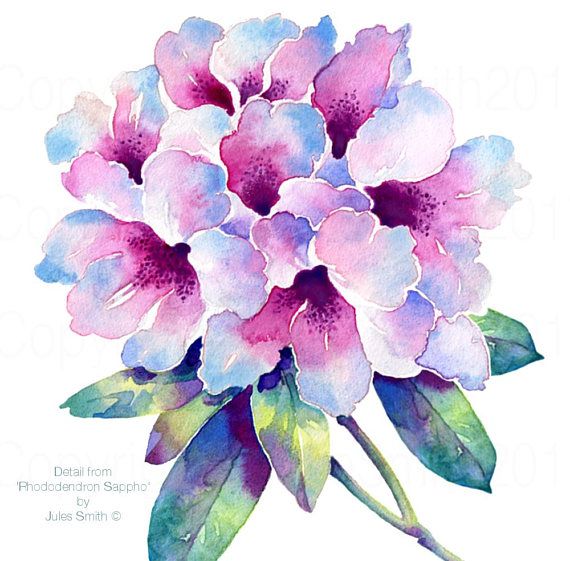 watercolour flower painting rhododendron sappho original handmade