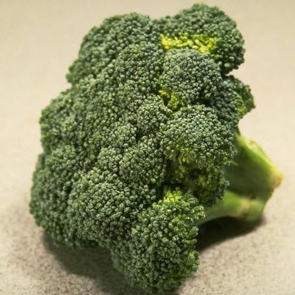 Dietitians Of Canada Food Sources Of Calcium Dietitians Of Canada Food Sources Of Calcium