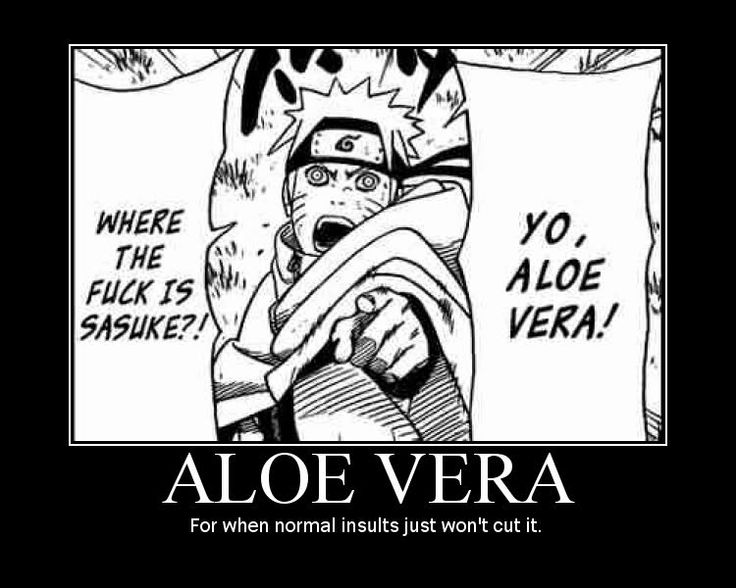 jack off with aloe vera bryony gerega naked