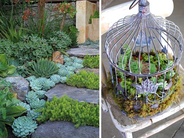 12 Pinteresting Ways To Display Succulents Groen Pinterest 12 Pinteresting Ways To Display Succulents Groen Pinterest Garden And Art