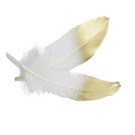 MagiDeal 24 St/ück nat/ürliche G/änsefeder Feder f/ür Handwerks dekoration 15-20cm Wei/ß Und Gold