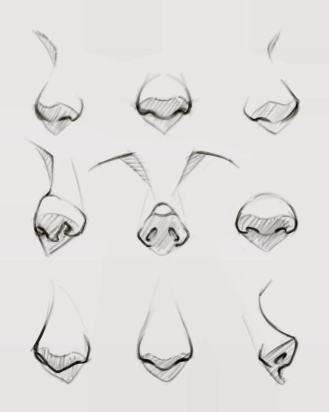 pencil sketches adult coloring pages | Nose drawing, Art tools drawing