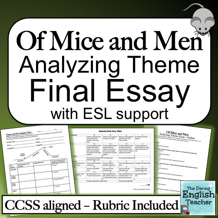 Essay about theme for english b