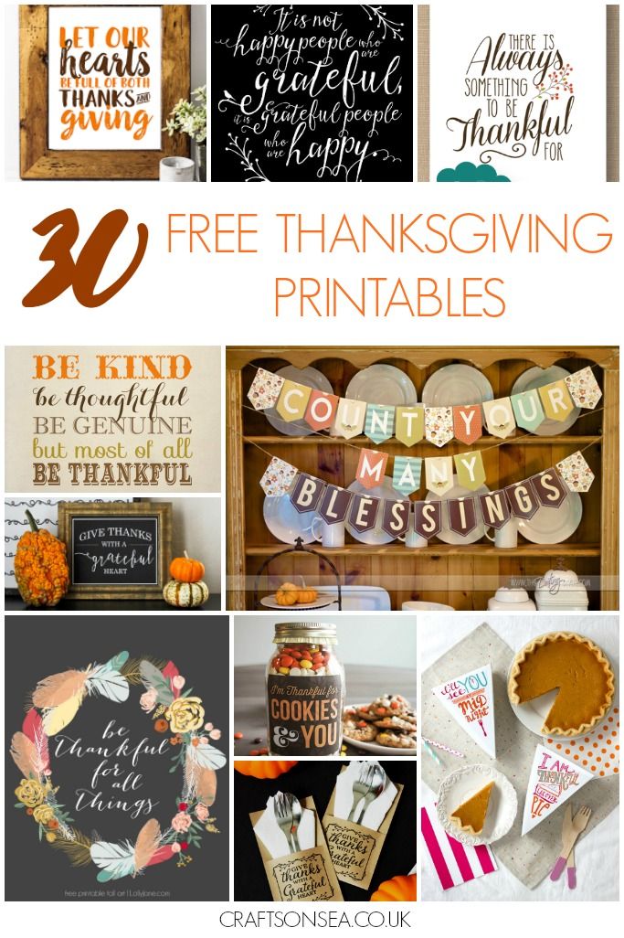 Dating Who Is Kitchen Sunny The Thanksgiving From Photo Divas Dating Who Is Kitchen Sunny The Thanksgiving From Photo Divas