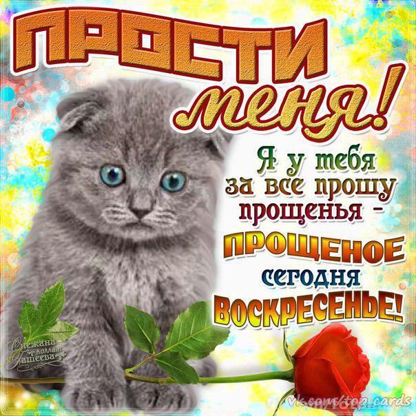 Девочке день, картинки для смс извинения