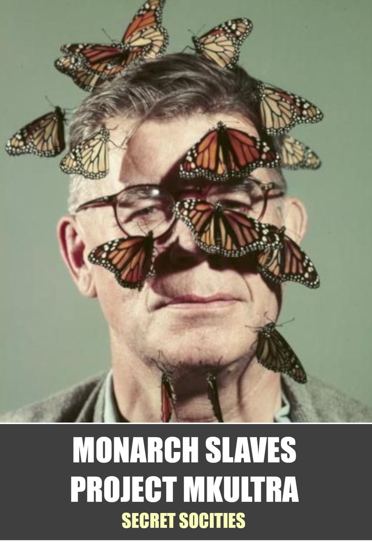 what does a butterfly symbolize in illuminati what does a butterfly symbolize in illuminati