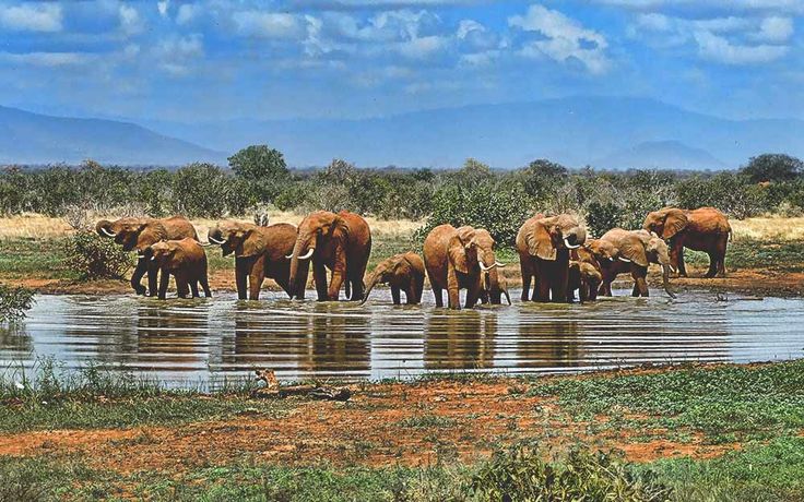 15 Droomachtige Plekken In Zuid Afrika Zuid Afrika nl South Africa 15-droomachtige-plekken-in-zuid-afrika-zuid-afrika-nl-south-africa